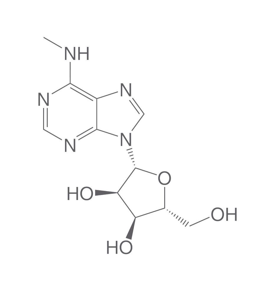 N6-Methyladenosine, 1 g - Luminix Health