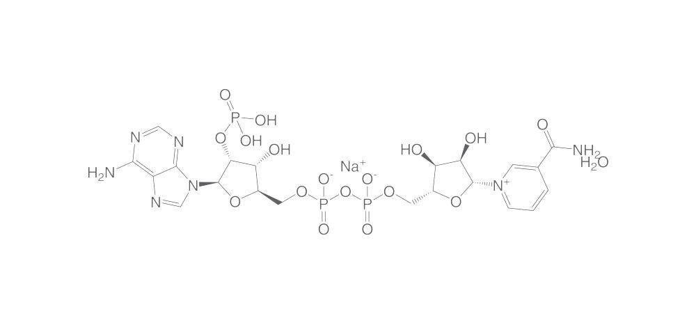 b-Nicotinamide adenine dinucleotide phos, phate sodium salt, 5 g - Luminix Health