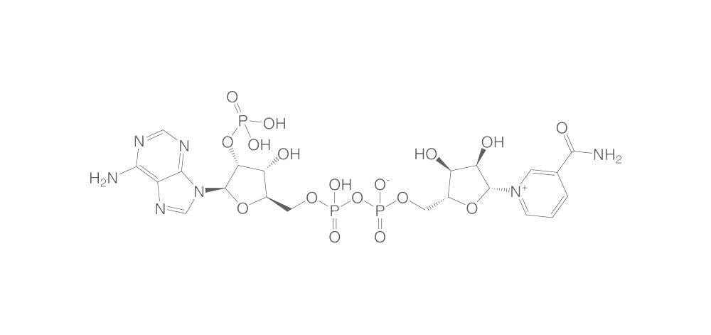 b-Nicotinamide adenine dinucleotide phos, phate, 5 g - Luminix Health