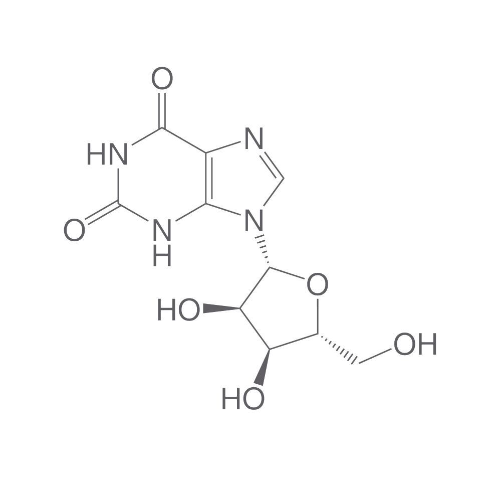 Xanthosine, 10 g - Luminix Health