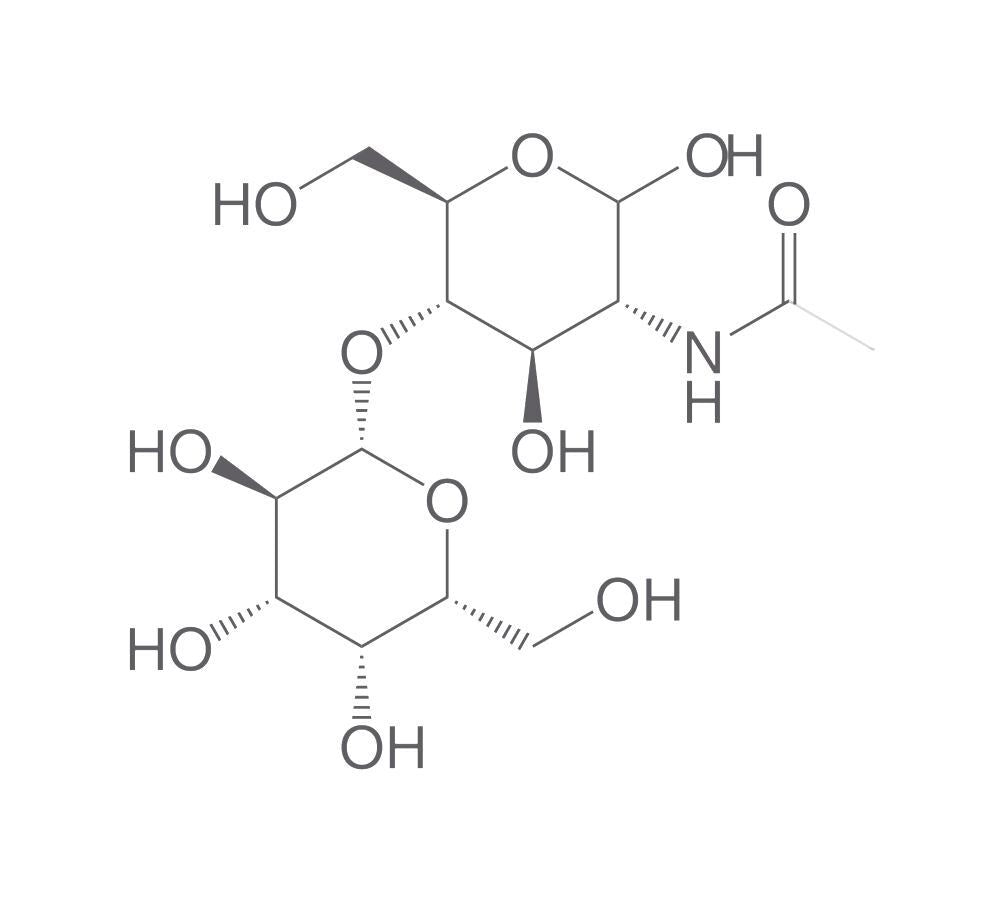 N-Acetyl-D-lactosamine, 25 mg - Luminix Health