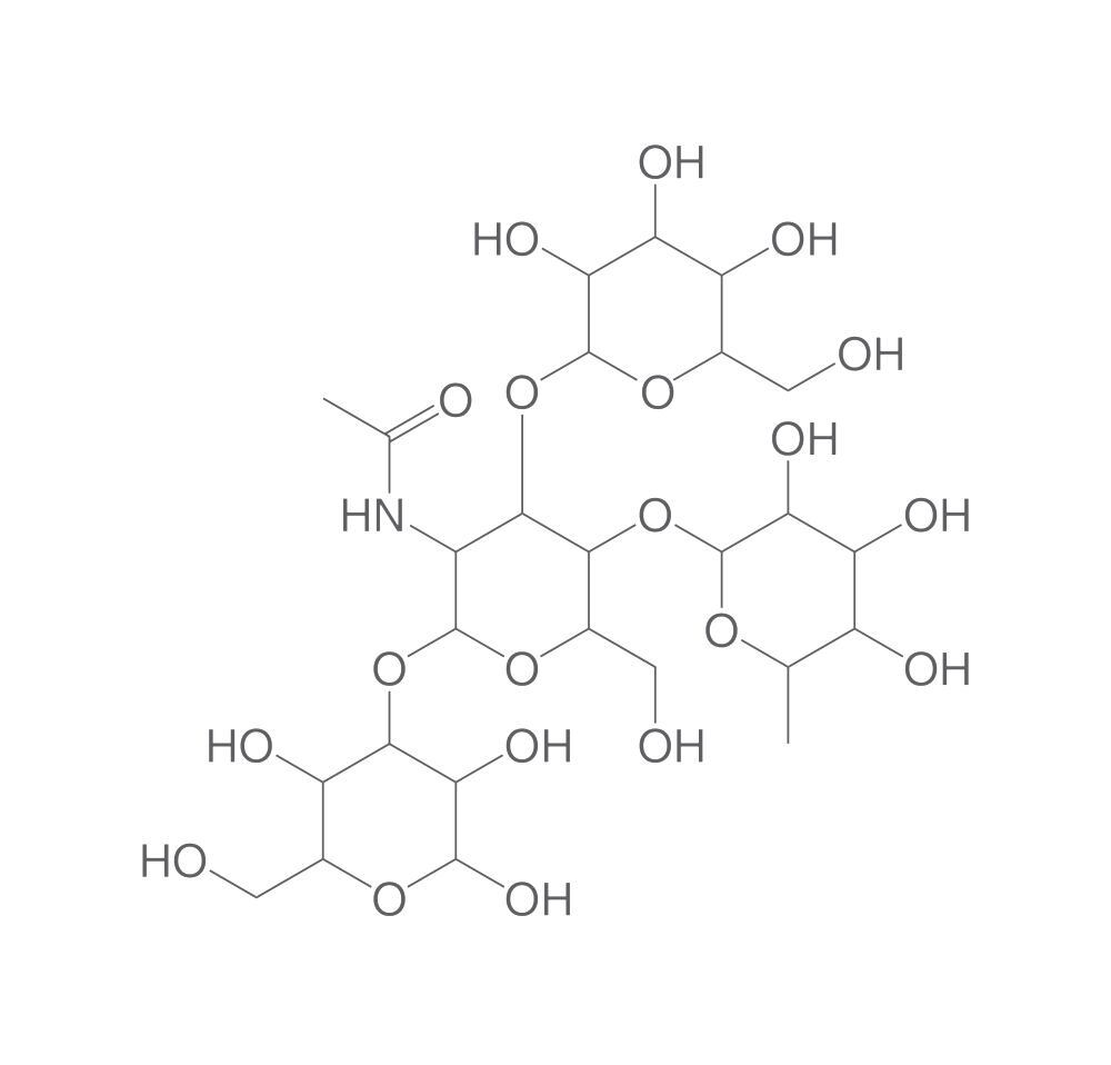 Lewis A tetrasaccharide, min. 90 %, 1 mg - Luminix Health