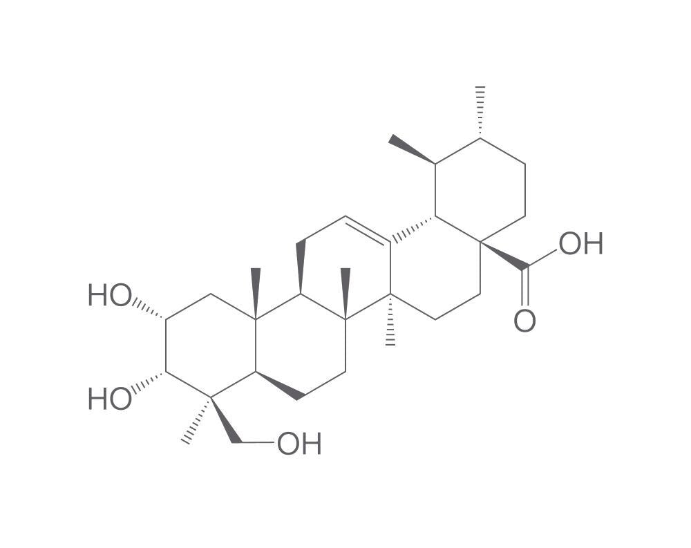 2,3,24-Trihydroxy-12-ursen-28-oic acid, min. 95 %, 100 µg - Luminix Health