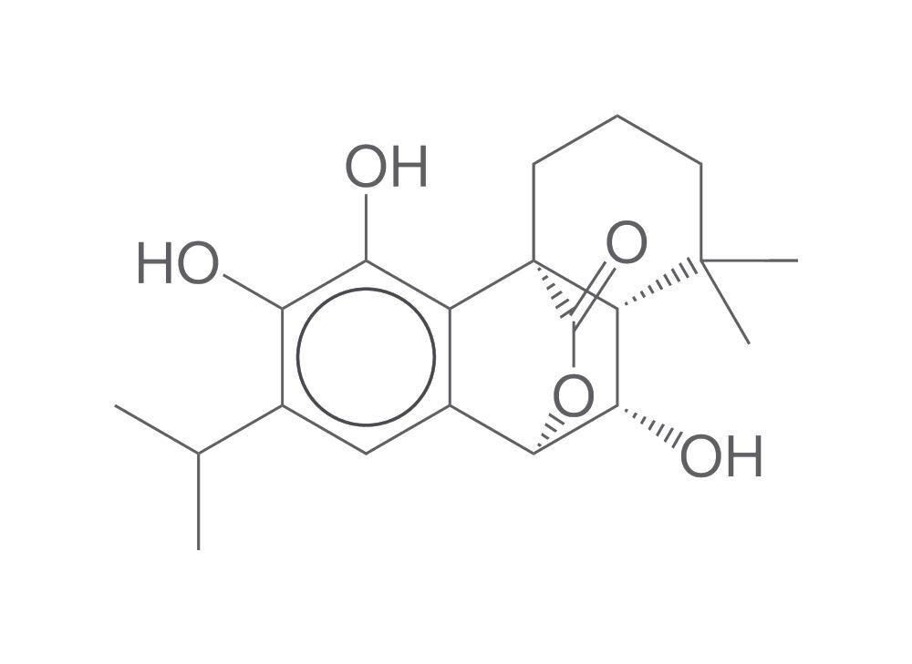 6β-Hydroxycarnosol, min. 95 %, 1 mg - Luminix Health