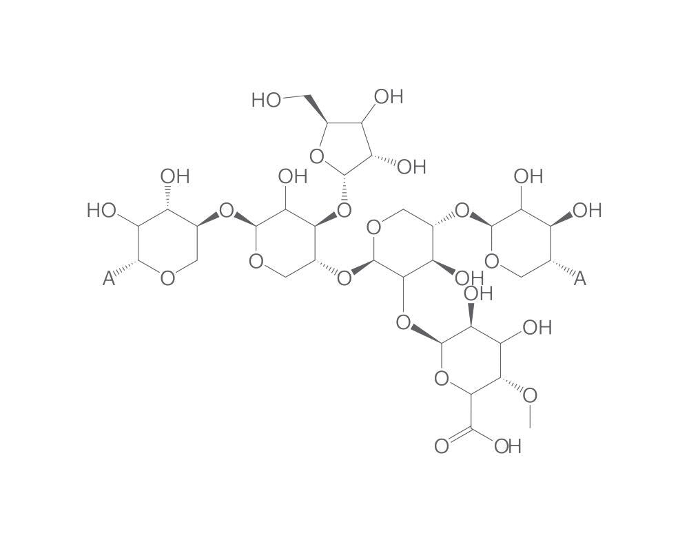 Arabinoxylan, min. 90 %, 50 mg - Luminix Health