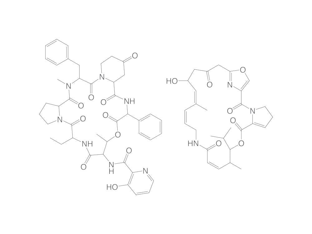 Pristinamycin, min. 98 %, for microbiology, 10 mg, glass - Luminix Health