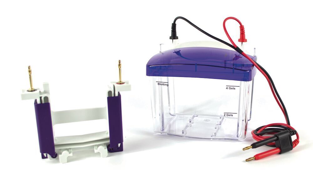 Electrophoresis Unit proPAGE Mini 2, complete set, 1 mm gels, 1 unit(s) - Luminix Health