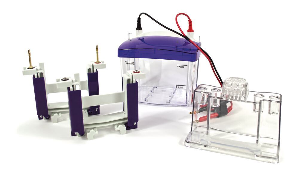 Electrophoresis Unit proPAGE Mini 4, complete set, 1 mm gels, 1 unit(s) - Luminix Health