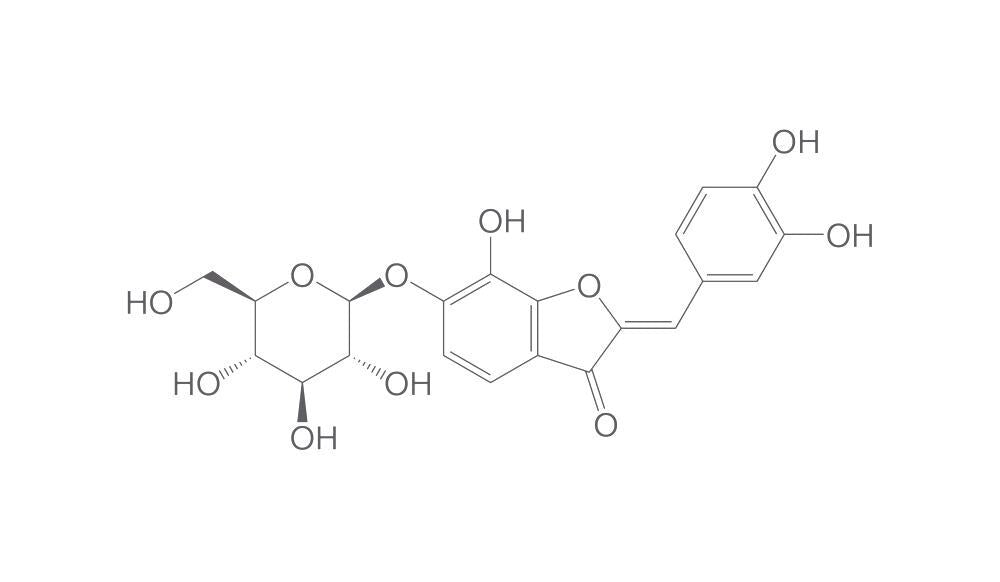 Maritimein, ROTICHROM® HPLC, 5 mg, plastic - Luminix Health