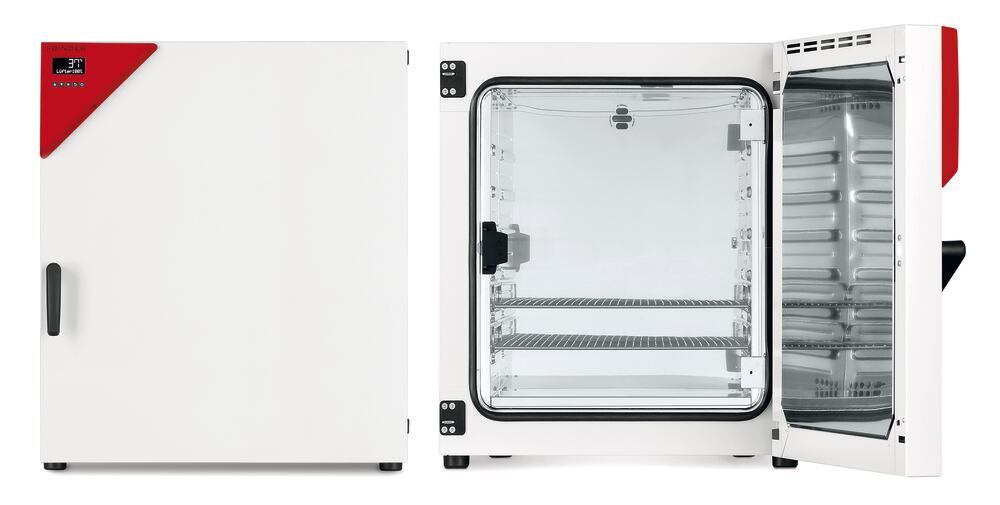 Microbiological incubator BF 720, 720 l, forced air circulation, 1 unit(s) - Luminix Health