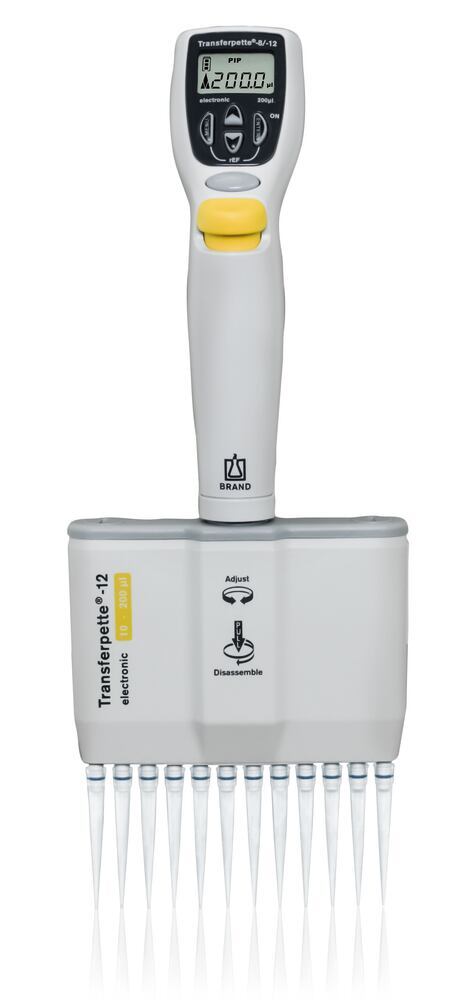 Multi-channel microlitre pipette Transferpette® electronic 12-channel - Luminix Health