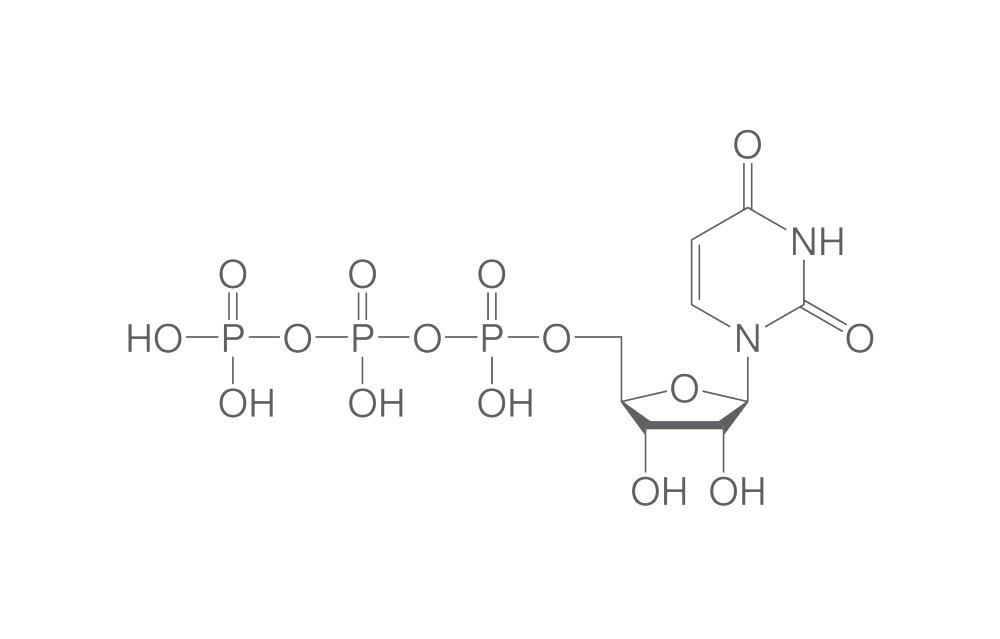 UTP, min. 90 %, lyophilised, 100 mg, plastic - Luminix Health