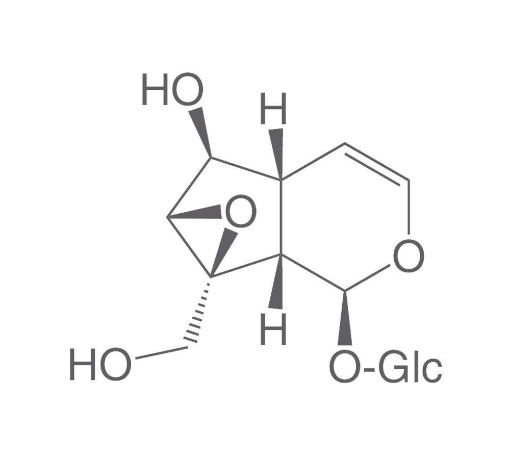 Catalpol, ROTICHROM® HPLC, 25 mg, glass - Luminix Health