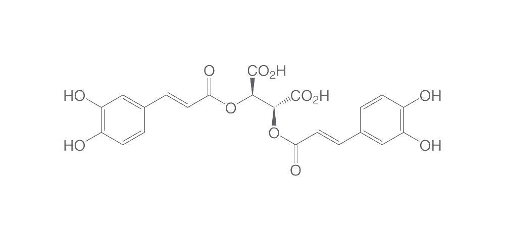 Cichoric acid, ROTICHROM® HPLC, 10 mg, glass - Luminix Health