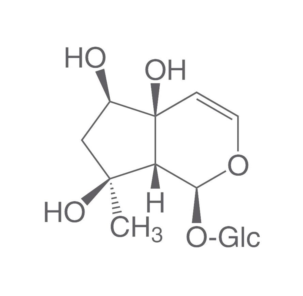 Harpagid, ROTICHROM® HPLC, 10 mg, glass - Luminix Health