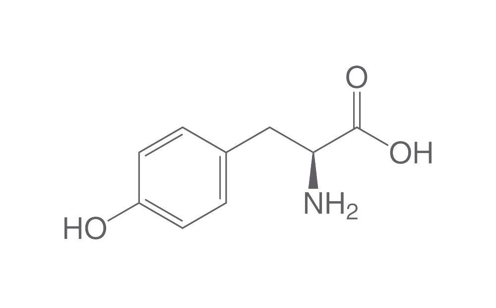 L-Tyrosine, min. 99 %, CELLPURE®, 25 g, plastic - Luminix Health