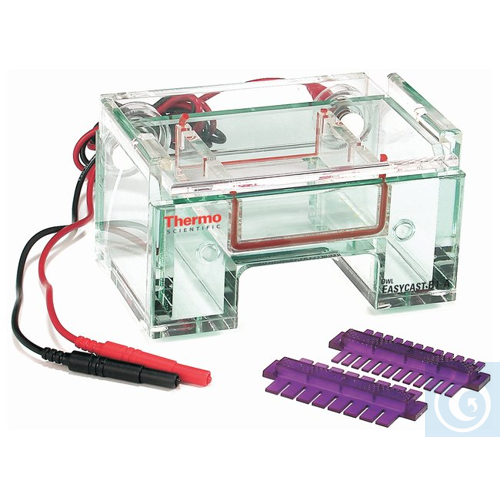 Owl™ EasyCast™ B1A Mini Gel and A2-OK Multi Gel System