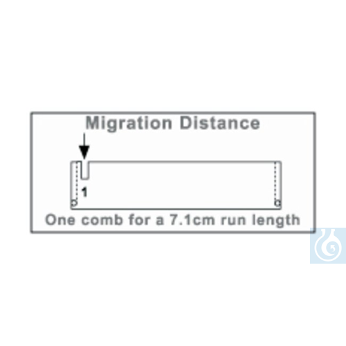 Owl™ C2-S Micro Electrophoresis System Combs Standard comb 7 1.5mm -
