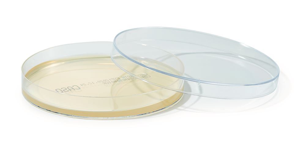 ROTI®Plate90 CASO, ready-to-use, steril, 10 unit(s), box - Luminix Health
