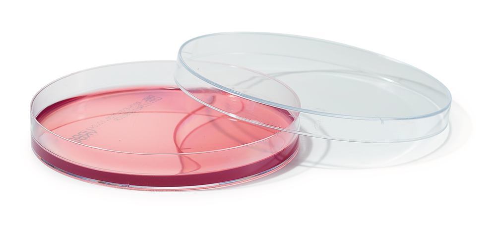 ROTI®Plate90 VRBD, ISO 11133, ISO 21528, 10 unit(s), box - Luminix Health