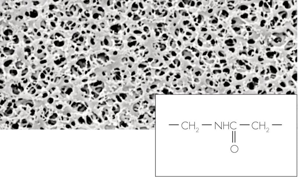 Nylon membrane filters, 0.45 µm, 50 mm, 100 unit(s) - Luminix Health