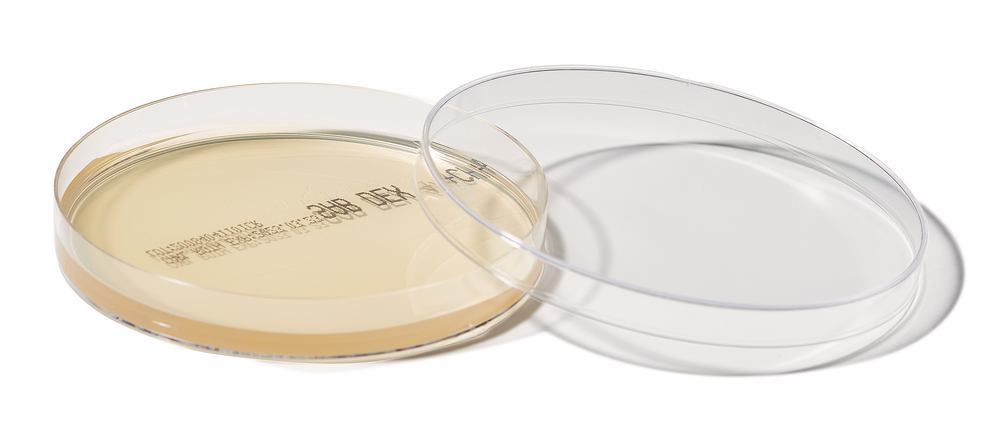 ROTI®Plate90 Sab4Cla , ISO 11133, sterile, 10 unit(s), box - Luminix Health