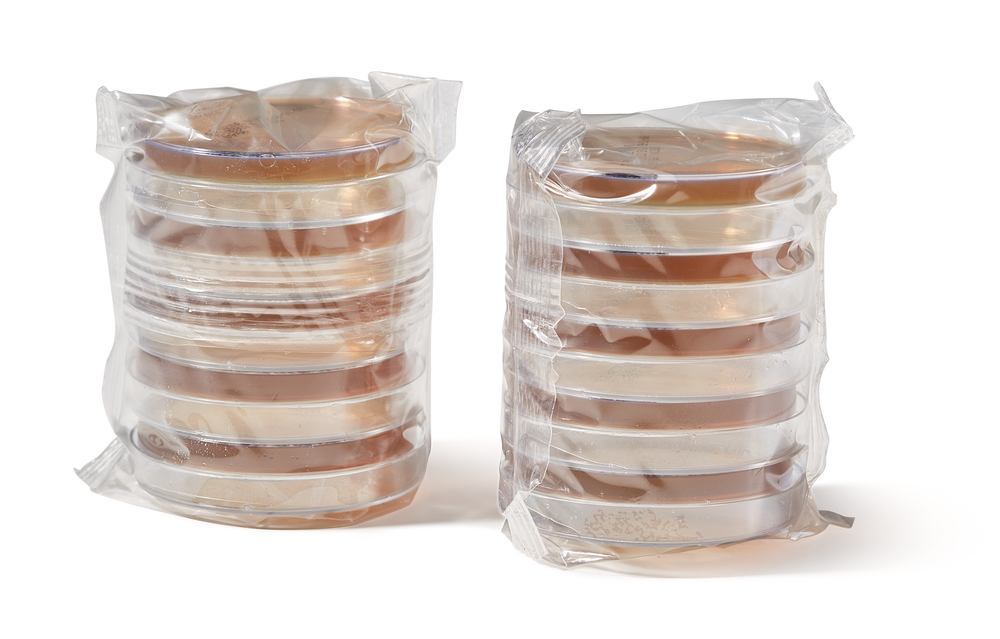 ROTI®Aquatest Plate BEA, ISO 7899-2, ISO 11133, ready-to-use, sterile - Luminix Health