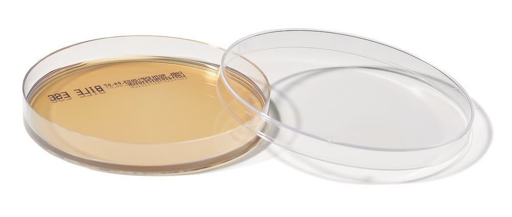 ROTI®Plate90 BEA, ISO 7899-2, ready-to-use, steril, 10 unit(s), box - Luminix Health