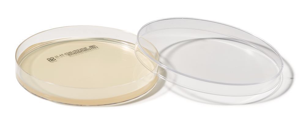 ROTI®Plate90 ESB, ISO 7899-2, ready-to-use, steril, 10 unit(s), box - Luminix Health