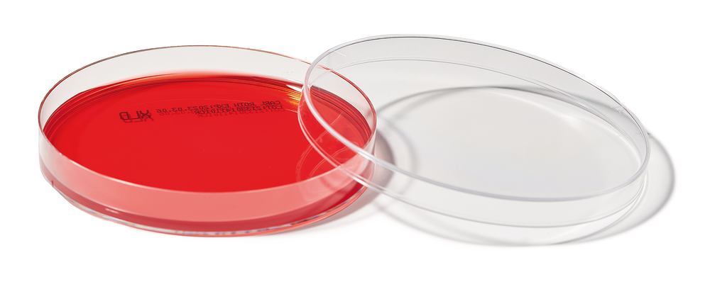 ROTI®Plate90 XLD, ISO 6579-1, ready-to-use, steril, 10 unit(s), box - Luminix Health