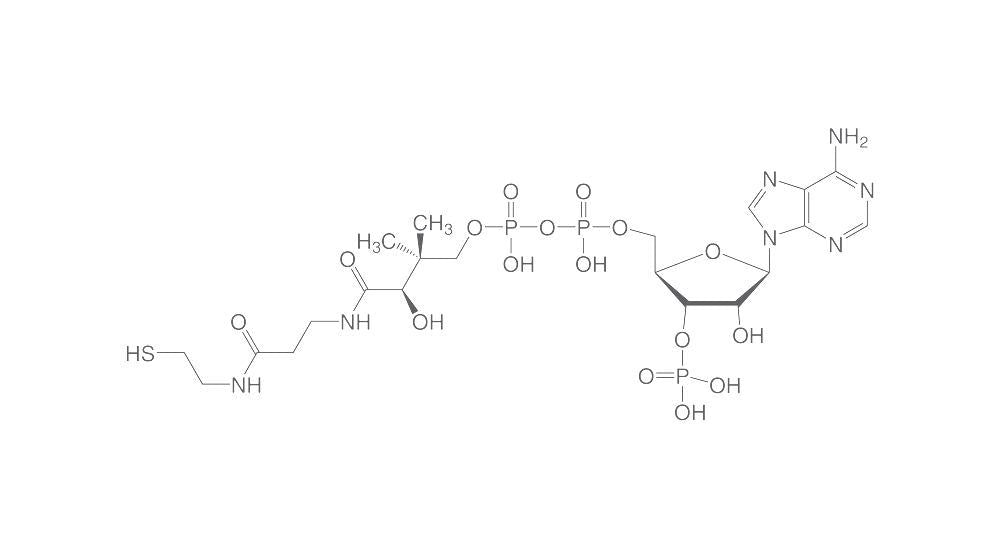 Coenzyme A hydrate, min. 85 %, for biochemistry, 10 mg, glass - Luminix Health