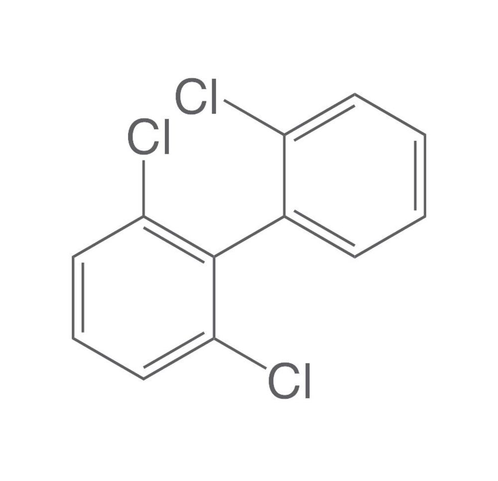 PCB 19, 100 µg/ml in isooctane, 1 ml, glass - Luminix Health
