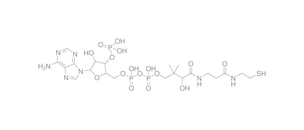 Coenzyme A, free acid, min. 95%, 10 mg, Carl Roth, art. 1Y2W.1