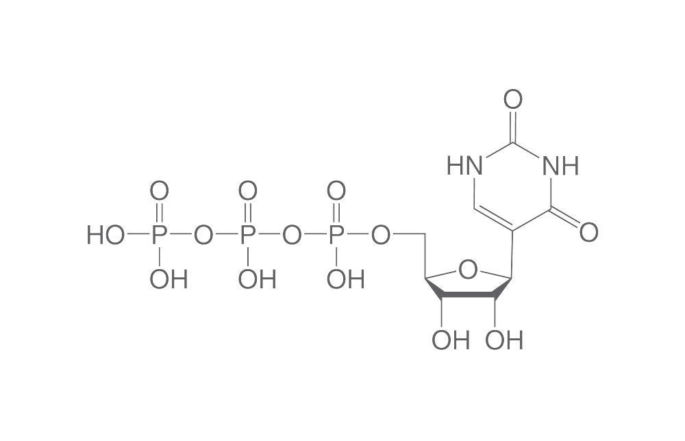 Pseudouridine-5'-triphosphate, ≥95 %, 10 µl, plastic - Luminix Health