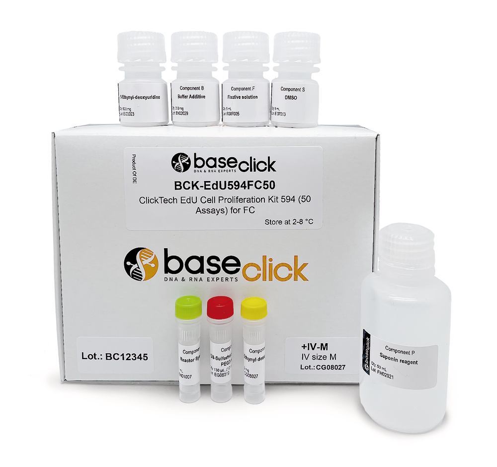 ClickTech EdU Cell Proliferation Kit 555 in vivo, L (1000 mg additional EdU) - Luminix Health