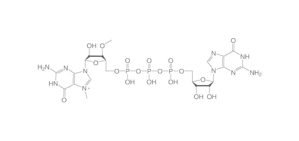 ARCA Cap Analog, ≥98 %, 10 µl, plastic - Luminix Health