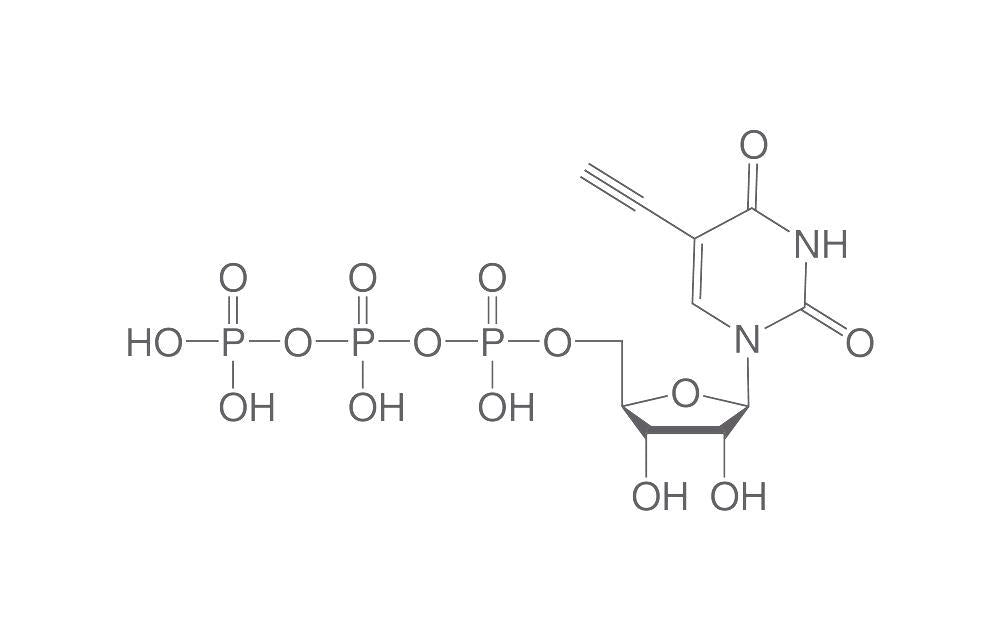 5-Ethynyl-UTP, ≥95%, 10 µl, plastic - Luminix Health
