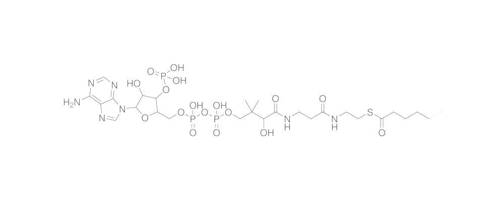 Hexanoyl Coenzyme A, Free acid