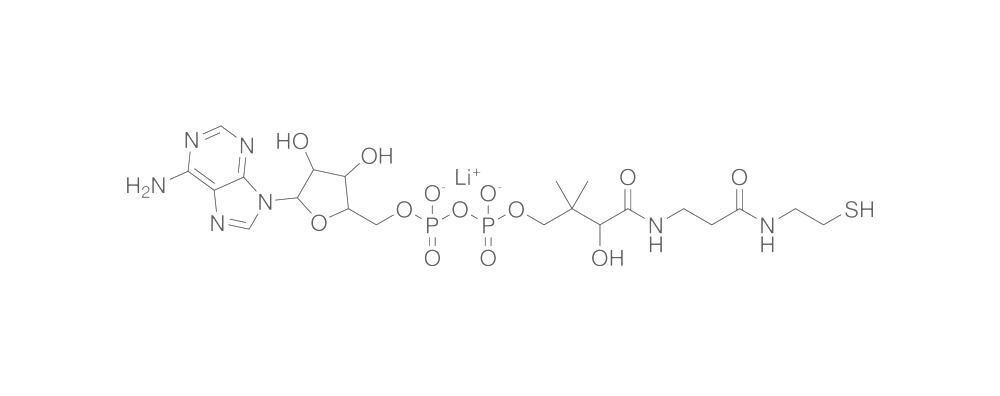 3-Dephosphocoenzyme A, Lithium Salt