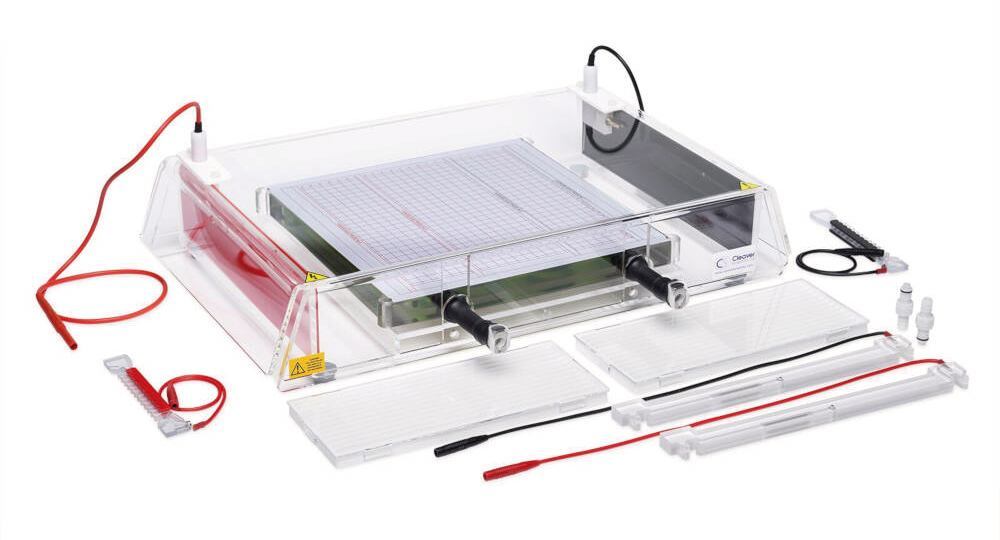 Rehydration tray , ROTIPHORESE® PROfessional IEF, 1 unit(s) - Luminix Health