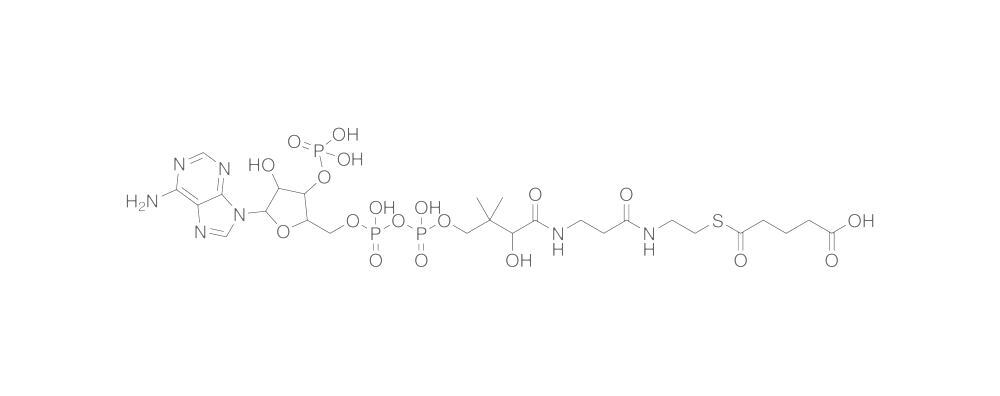Glutaryl Coenzyme A, Free acid