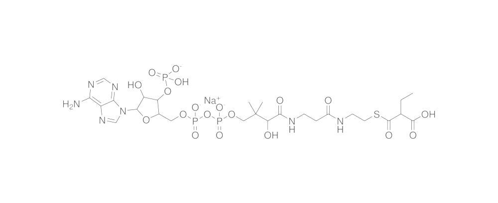 Ethylmalonyl Coenzyme A, Sodium salt