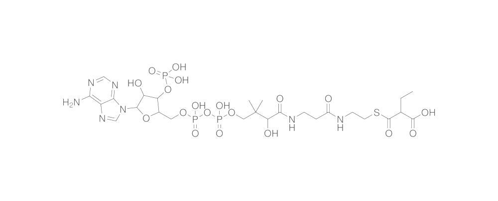 Ethylmalonyl coenzyme A, free acid