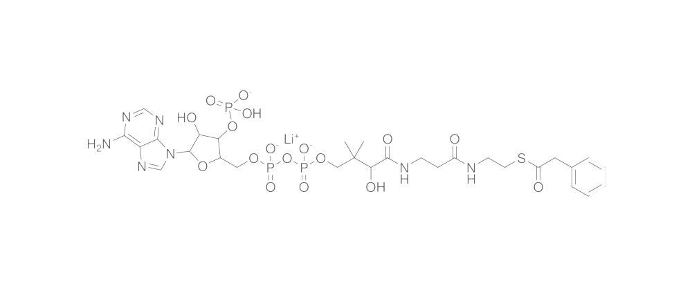 Phenylacetyl Coenzyme A, Lithium salt