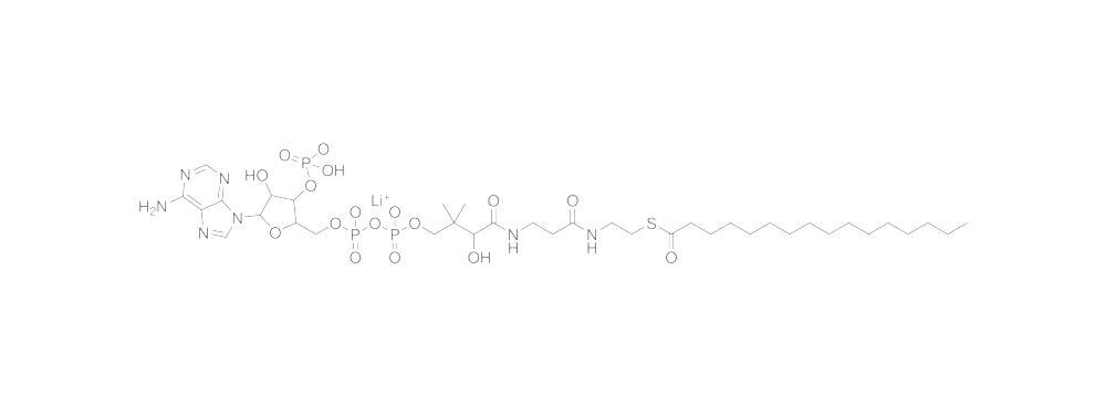 Palmitoyl Coenzyme A, Lithium salt