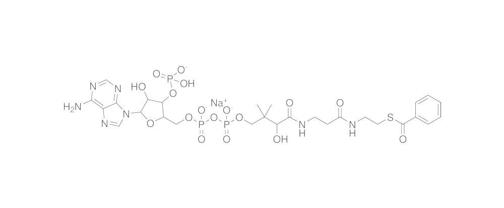 Benzoyl Coenzyme A, Sodium salt