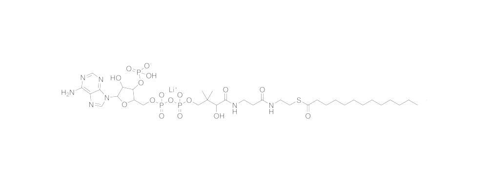 Myristoyl-Coenzyme A, lithium salt