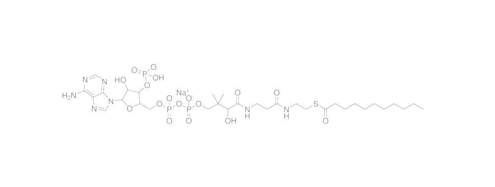 Lauroyl Coenzyme A, Sodium salt