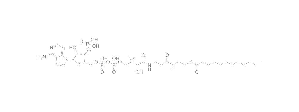 Lauroyl Coenzyme A, free acid