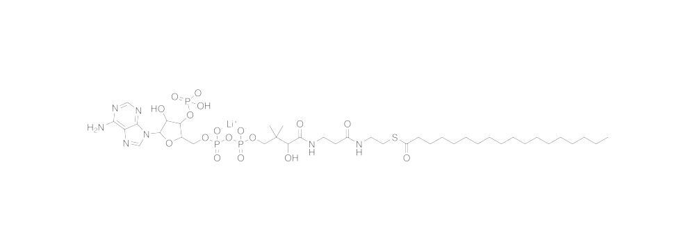 Stearoyl Coenzyme A, lithium salt